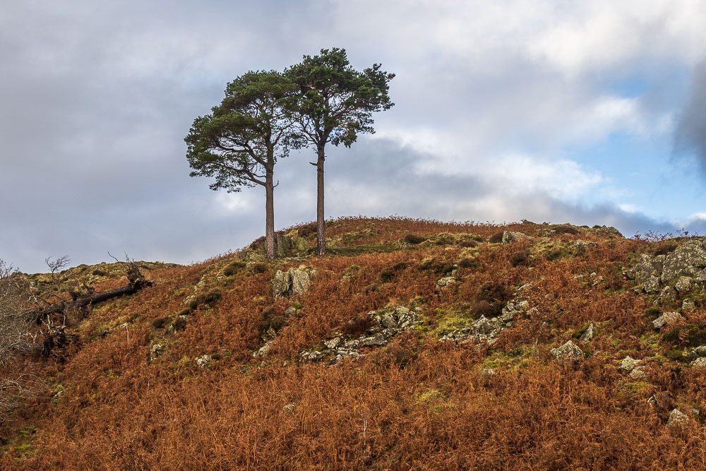 Wren Crag Wren Crag
